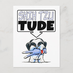 Shih Tzu Tude Briefkaart