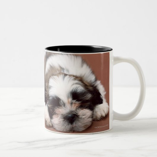 Shih Tzu Tweekleurige Koffiemok (Rechts)