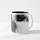 Shih Tzu Tweekleurige Koffiemok (Voorkant rechts)
