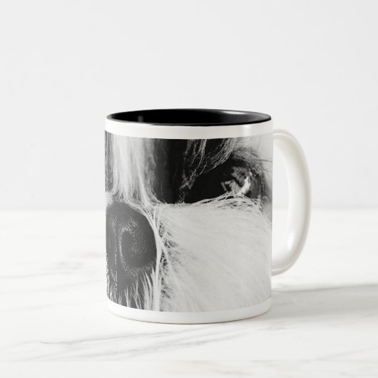 Shih Tzu Tweekleurige Koffiemok (Voorkant rechts)