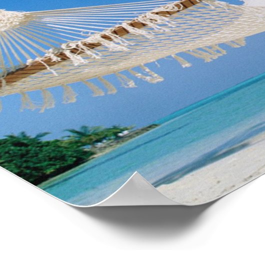 Shih Tzu uit Poster (Hoek)