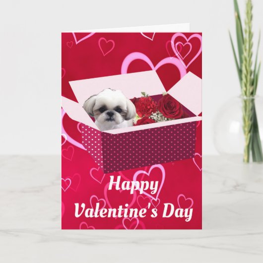 Shih tzu Valentijnsdag Card, Dog Feestdagen Kaart (Voorkant)