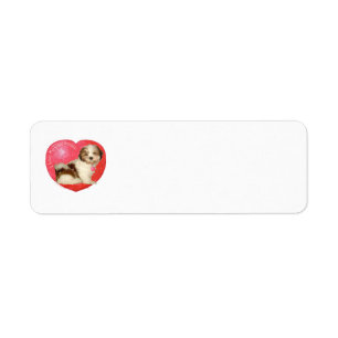 Shih Tzu Valentijnsdag Etiket
