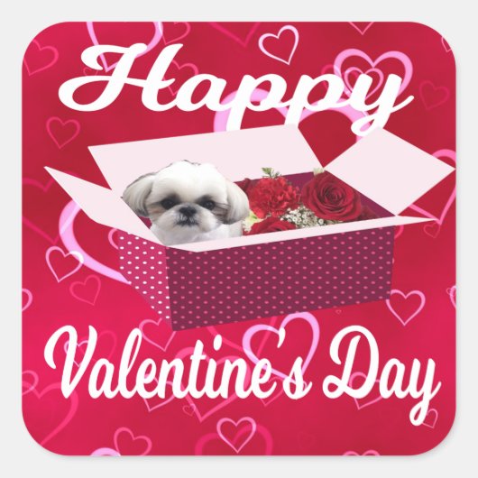 Shih tzu Valentijnsdag Sticker, Dog Vierkante Sticker (Voorkant)