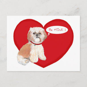 Shih Tzu Valentijnskaarten Feestdagenkaart