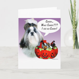 Shih Tzu (verzorgd) Halloween Snoep Kaart