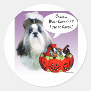 Shih Tzu (verzorgd) Halloween Snoep Ronde Sticker