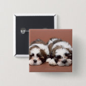 Shih Tzu Vierkante Button 5,1 Cm (Voorkant /achterkant)