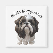 Shih Tzu - Waar is mijn moeder