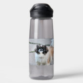 Shih tzu waterfles (Achterkant)