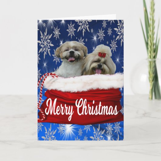Shih tzu Wenskaart Kerstmis Feestdagen Kaart (Voorkant)