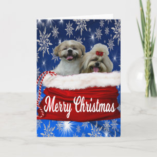 Shih tzu Wenskaart Kerstmis Feestdagen Kaart