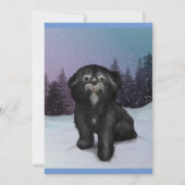 Shih-Tzu Winter: Wenskaart! Kaart (Achterkant)