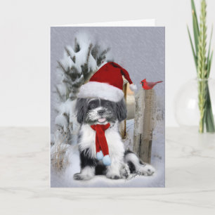 Shih Tzu winterscène Feestdagen Kaart