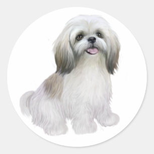 Shih Tzu - Wit met grijs-tan Ronde Sticker