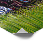 Shih Tzu (Y) - Sterrennacht Poster (Hoek)