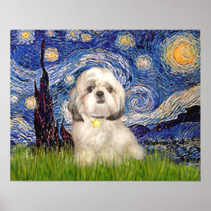 Shih Tzu (Y) - Sterrennacht Poster