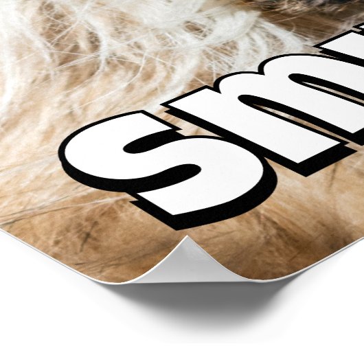 Shih tzu yawning laughing smile text customize poster (Hoek)