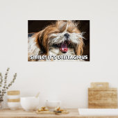 Shih tzu yawning laughing smile text customize poster (Keuken)