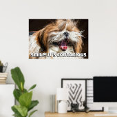 Shih tzu yawning laughing smile text customize poster (Thuiskantoor)