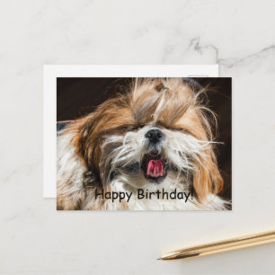 Shih tzu yawtong grappig leuke verjaardag briefkaart