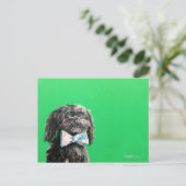 Shih Tzu Yorkie Dog Briefkaart - Chip (Staand voorkant)