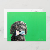 Shih Tzu Yorkie Dog Briefkaart - Chip (Voorkant / Achterkant)
