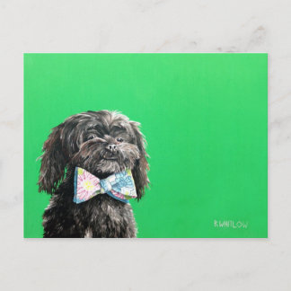 Shih Tzu Yorkie Dog Briefkaart - Chip