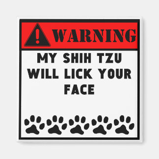 Shih Tzu zal je gezicht likken Magneet
