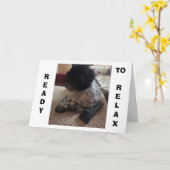 Shih Tzu ZEGGEN "40" DUS WIL JE ONTSPANNEN OP VERJ Kaart (Gele Bloem)