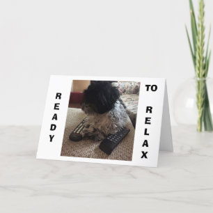 Shih Tzu ZEGT "40" ZODAT ZIJ OP MAANDAG WIL RELAX Kaart