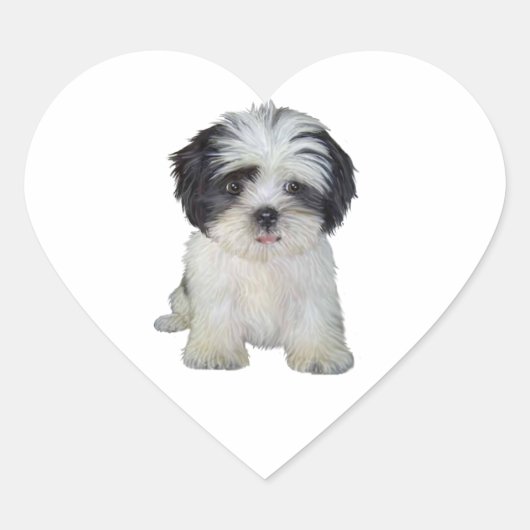 Shih Tzu (zw) - Puppy Hart Sticker (Voorkant)