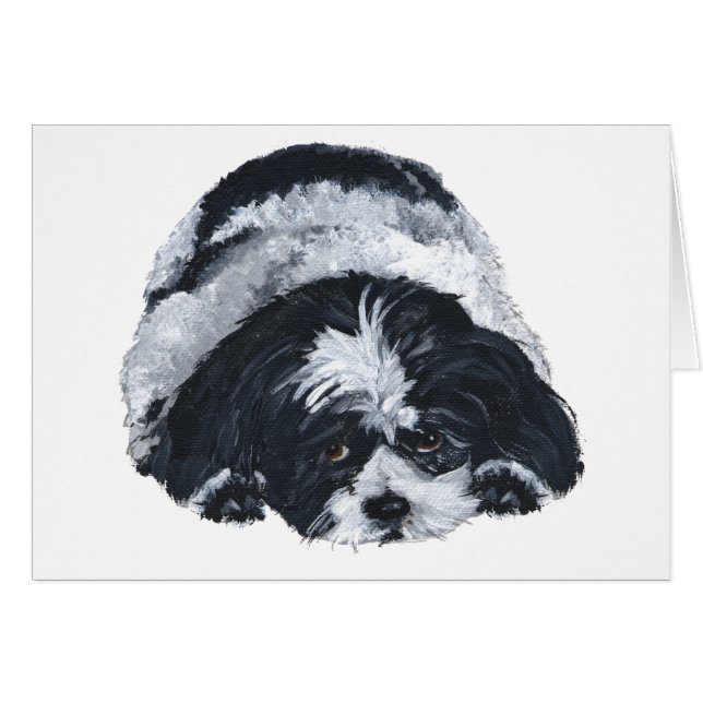 Shih Tzu Zwart & Wit (Voorkant Horizontaal)