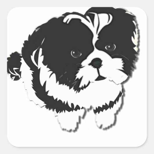 Shih Tzu Zwart Wit Hond Pet Vierkante Sticker (Voorkant)