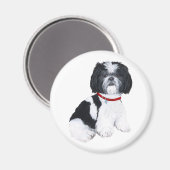 Shih Tzu Zwart & Wit Magneet (Voorkant / Achterkant)