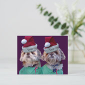 Shih Tzues Shih Twee Kerst Wenskaart Feestdagenkaart (Staand voorkant)