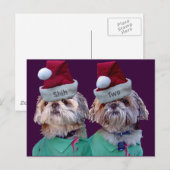 Shih Tzues Shih Twee Kerst Wenskaart Feestdagenkaart (Voorkant / Achterkant)
