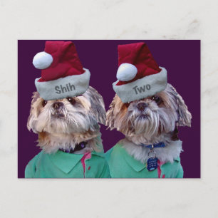 Shih Tzues Shih Twee Kerst Wenskaart Feestdagenkaart
