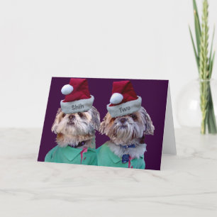 Shih Tzues Shih Twee Wenskaarten van Kerstmis Feestdagen Kaart