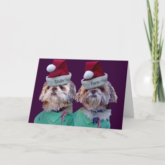 Shih Tzues Shih Twee Wenskaarten van Kerstmis Feestdagen Kaart (Voorkant)