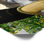 Shih Tzus 4-MONA Poster (Hoek)