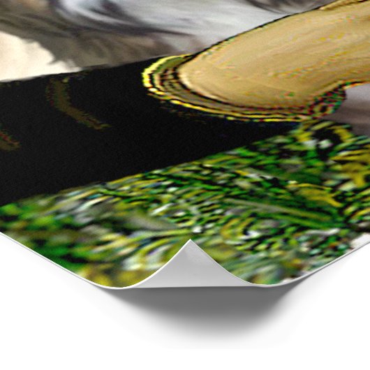 Shih Tzus 4-MONA Poster (Hoek)