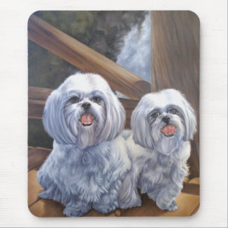 Shih Tzus Muismat