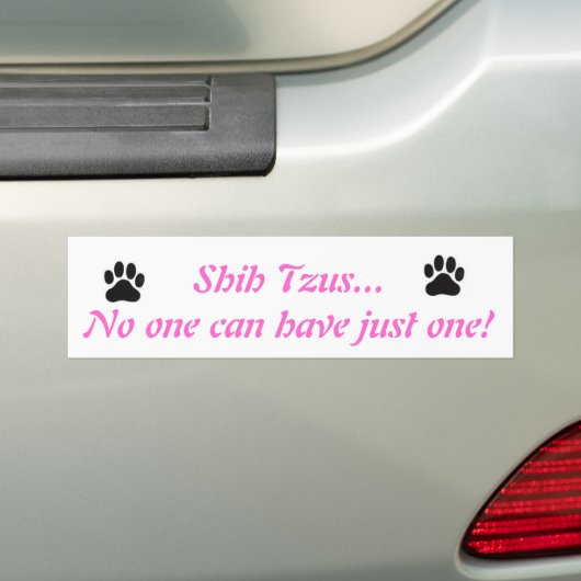 Shih Tzus...niemand kan er maar één hebben. Bumper Bumpersticker (Op auto)