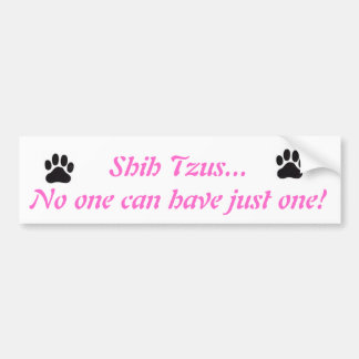 Shih Tzus...niemand kan er maar één hebben. Bumper Bumpersticker