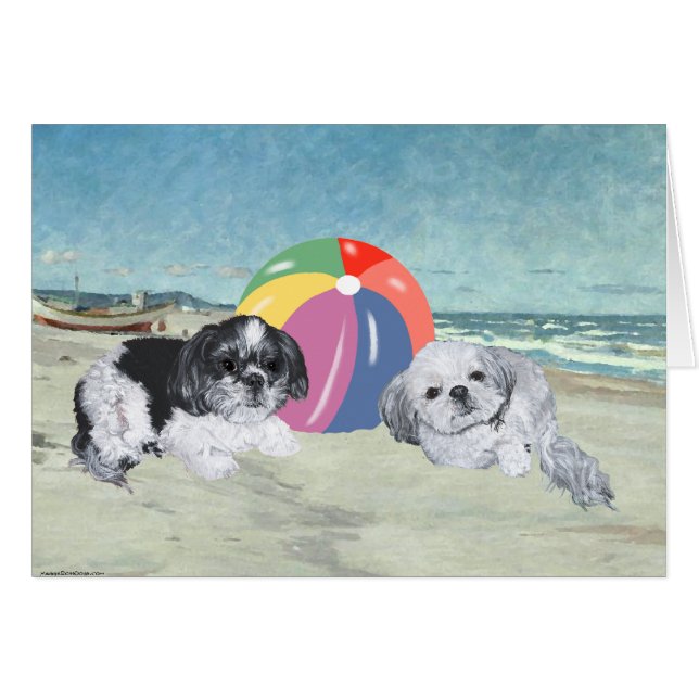 Shih Tzus op het Strand (Voorkant Horizontaal)