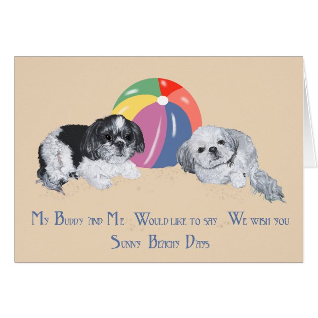 Shih Tzus op het Strand (Voorkant Horizontaal)