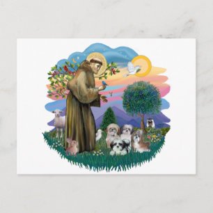 Shih Tzus (vier) Briefkaart