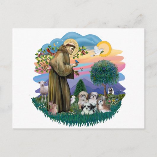 Shih Tzus (vier) Briefkaart (Voorkant)