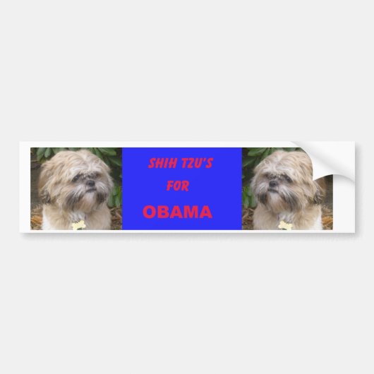 Shih Tzu's voor Obama Bumpersticker (Voorkant)